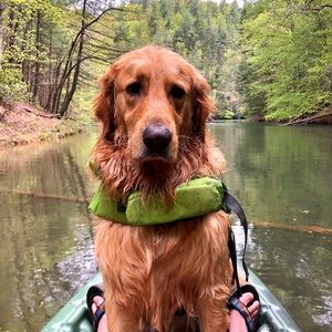 Meet your Posher, Benjamin